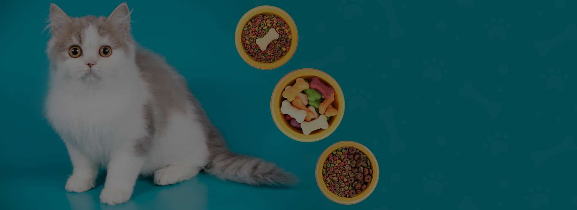 Food!